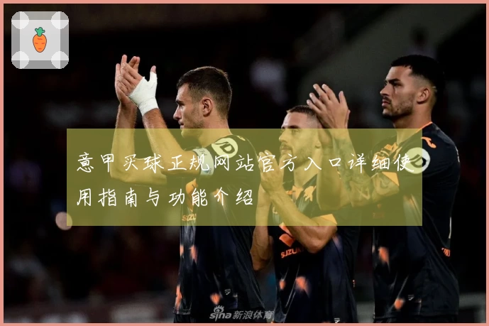 意甲买球正规网站官方入口详细使用指南与功能介绍