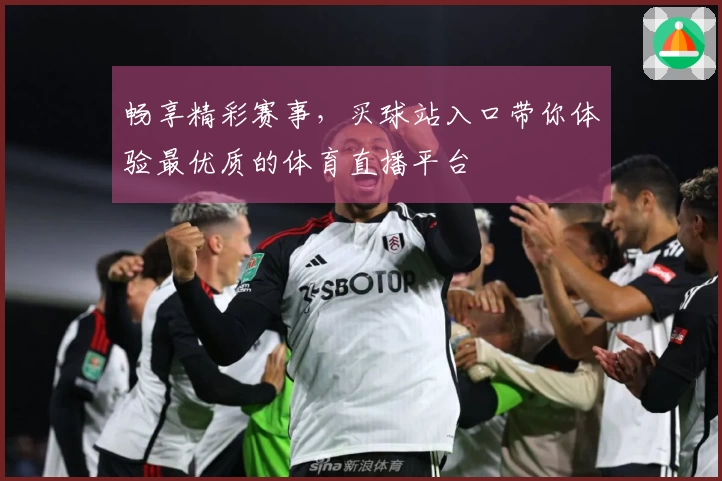 畅享精彩赛事，买球站入口带你体验最优质的体育直播平台