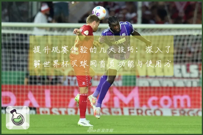 提升观赛体验的几大技巧：深入了解世界杯买球网首页功能与使用方法